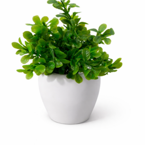 Vstylehunt Mini Zen Bonsai Plant | Small Artificial Plant | Home & Office Decor