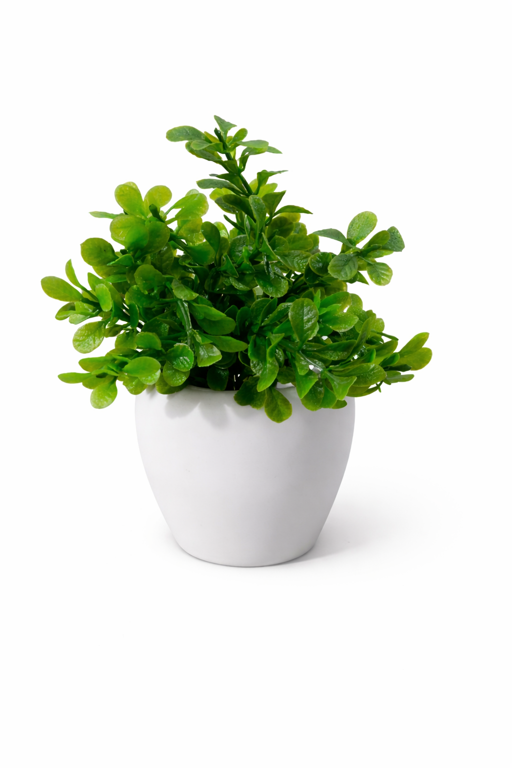 Vstylehunt Mini Zen Bonsai Plant | Small Artificial Plant | Home & Office Decor