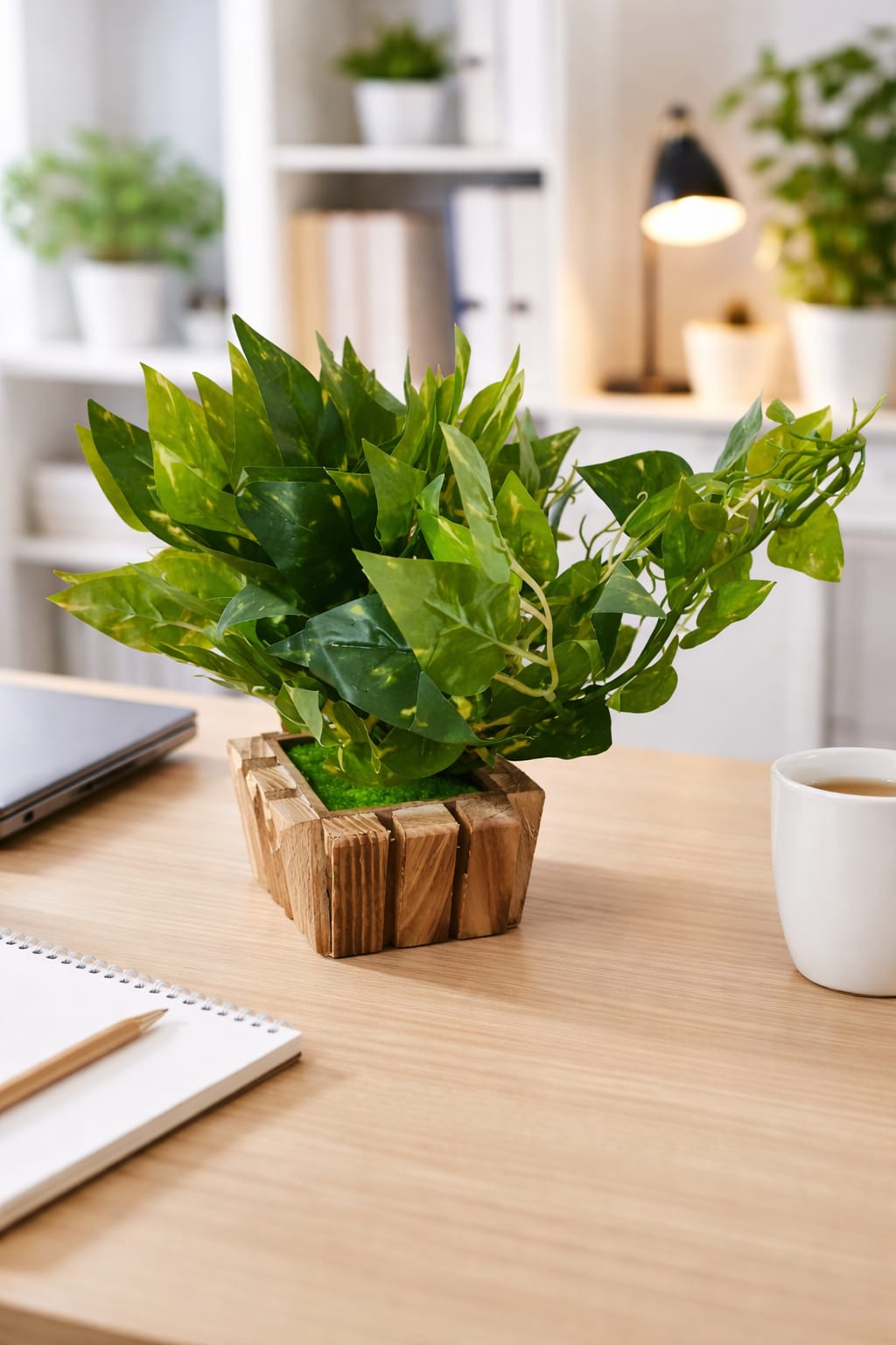 stylehunt Artificial Money Plant with Wooden Pot | Tabletop Decor , office Home & Garden Balcony Decor