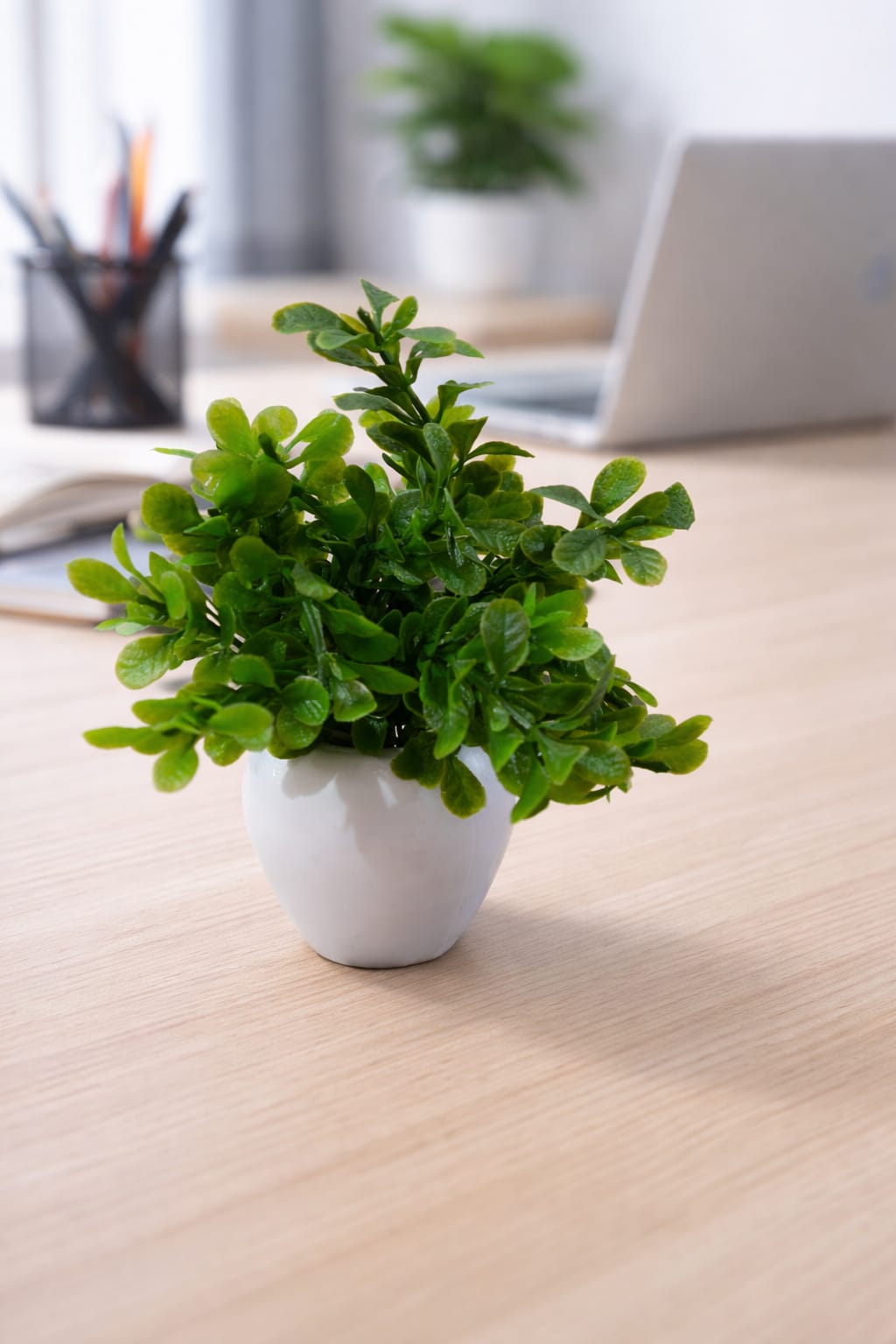 Vstylehunt Mini Zen Bonsai Plant | Small Artificial Plant | Home & Office Decor